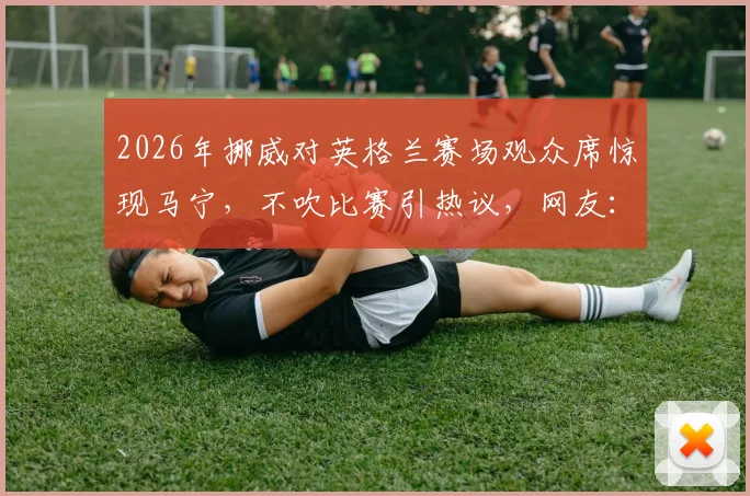 2026年挪威对英格兰赛场观众席惊现马宁，不吹比赛引热议，网友：裁判也需“放假”看球？
